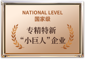 专精特新小巨人企业